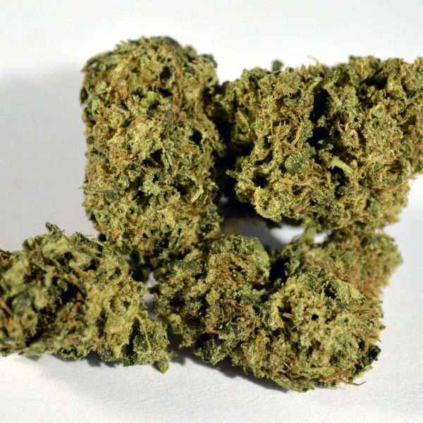 DurbanGirlBudPICWeb